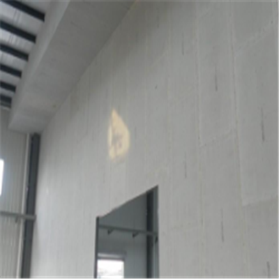 宜州宁波ALC板|EPS加气板隔墙与混凝土整浇联接的实验研讨
